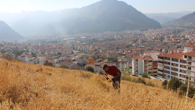Yamaçlardan Tek Tek Elleriyle Bedavaya Topluyor! 1 Buketini 100 Liradan Satıyor, Paraya Para Demiyor - Resim : 2