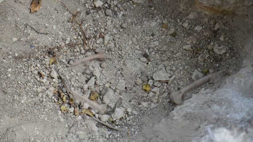 Aynı Mezarı Üçüncü Kez Kazan Defineciler İsyan Ettirdi! Kemikler Dışarı Saçıldı, Savunmaları 'Pes' Dedirtti - Resim : 4