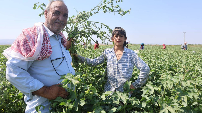 45 Derece Sıcağın Altında Çalışan 'Çocuk İşçiler'... '650 Liraya Sadece Çikolata Alınıyor' - Resim : 2