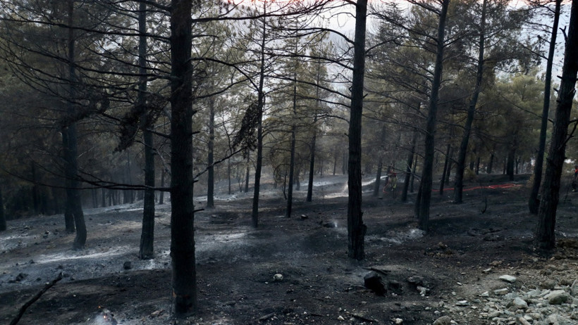 Yangın Kabusu Sürüyor! 2 İlde Tehlike Atlatıldı - Resim : 1