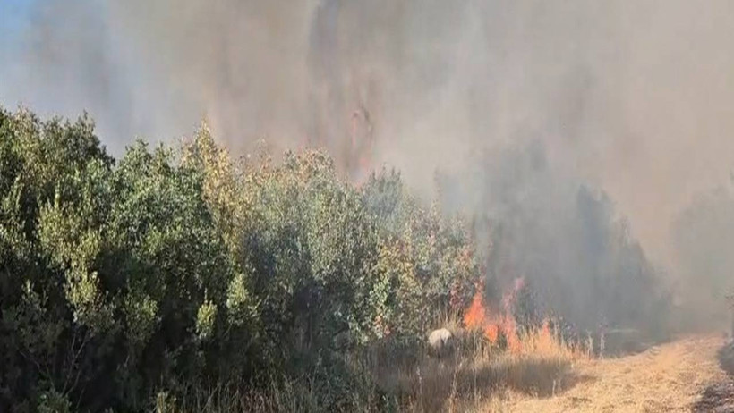 Susurluk'taki Orman Yangını 12 Saatte Söndürüldü - Resim : 2