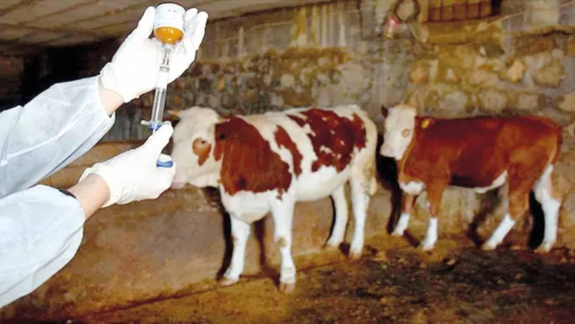 Yeni Salgın Patlak Verdi! O İlimiz Karantinaya Alındı, Giriş-Çıkışlar Kapatıldı - Resim : 1