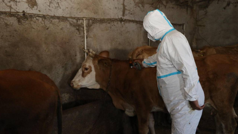 Yeni Salgın Patlak Verdi! O İlimiz Karantinaya Alındı, Giriş-Çıkışlar Kapatıldı - Resim : 3