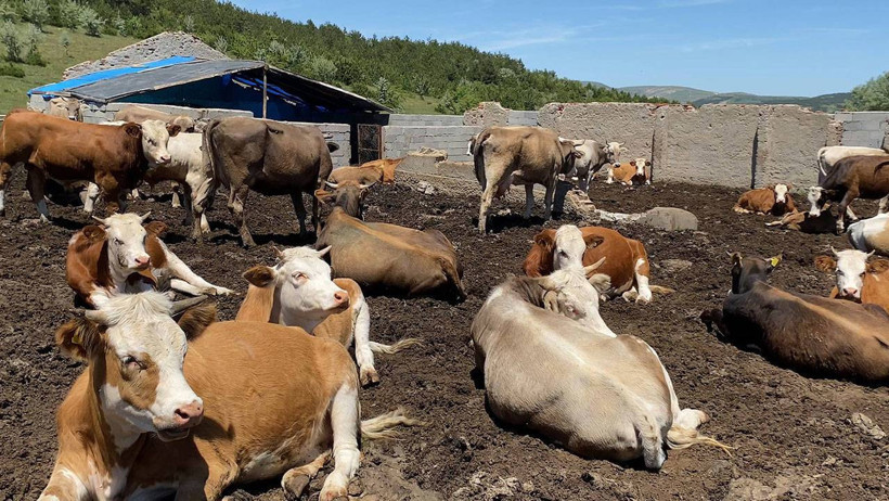 Yeni Salgın Patlak Verdi! O İlimiz Karantinaya Alındı, Giriş-Çıkışlar Kapatıldı - Resim : 2