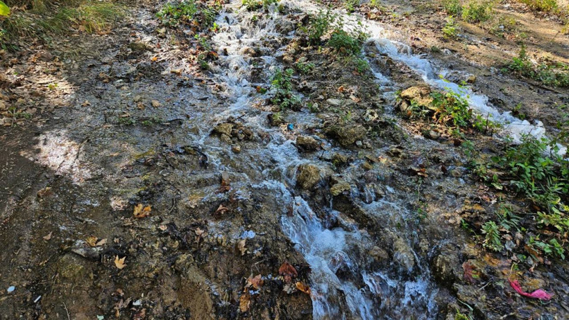 6.1'lik Depremin Ardından... Sular Birbirine Karıştı: Bazıları Kurudu, Yeni Termal Kaynaklar Oluştu! Uzmanlardan Dikkat Çeken Açıklama - Resim : 1