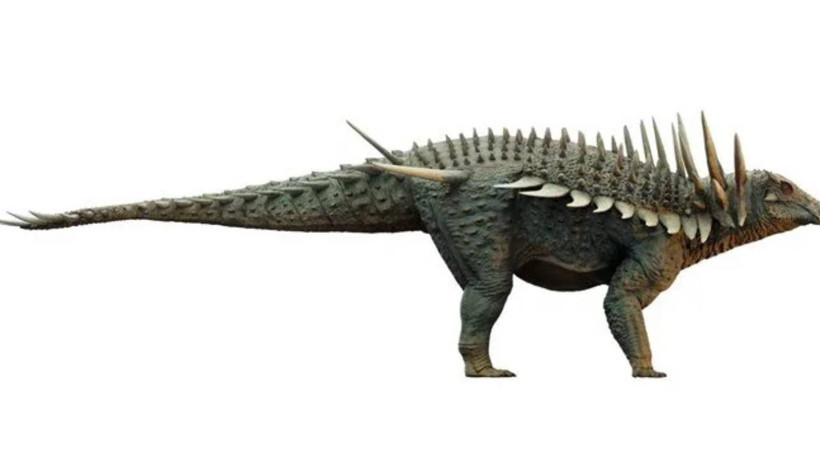 Bilim Dünyası Şokta! En 'Sıra Dışı' Dinozor Keşfedildi: 'Başka Hiçbir Hayvanda Böyle Bir Şey Görmedik' - Resim : 2