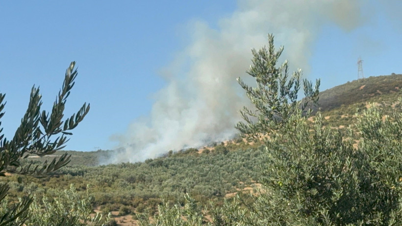 Denizli'de Başlayan Orman Yangını Aydın'a da Sıçradı: Alevlere Karşı Amansız Mücadele - Resim : 1