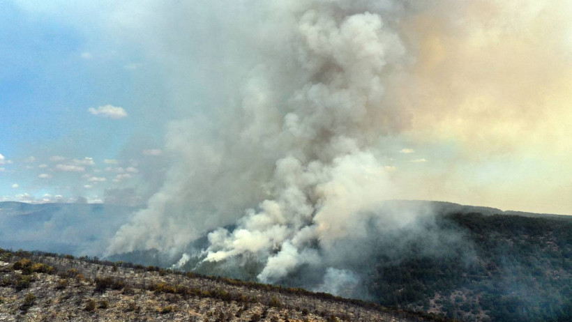 Biri Sönüyor, Diğeri Başlıyor! Ormanlarımız Alevlere Teslim - Resim : 5