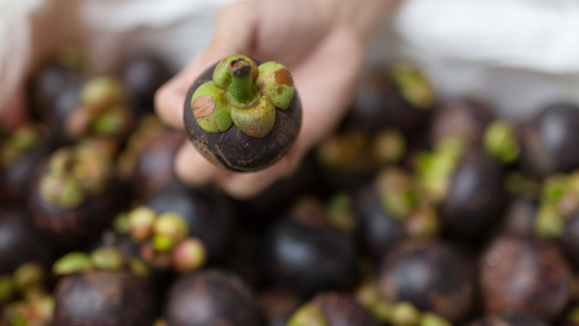 Meyvelerin Kraliçesi Olarak Biliniyor, C Vitamini, Bakır, Fosfat... Faydası Saymaka Bitmiyor - Resim : 2