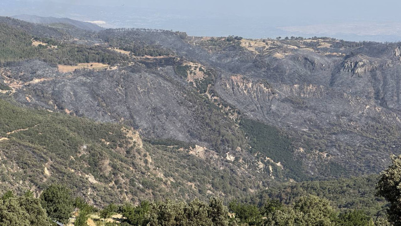 Denizli'deki Yangından Şoke Eden Görüntüler! Yangını O Büyüttü... Kimse Engel Olamadı - Resim : 2