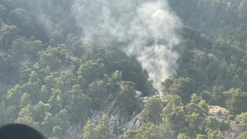 Manavgat'ta Çıkan Orman Yangını Kontrol Altında - Resim : 1