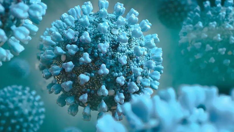 Koronavirüs Kabusu Geri mi Dönüyor? Yeni Varyantlar, Artan Vakalar… Acil Servisler Alarm Veriyor - Resim : 2