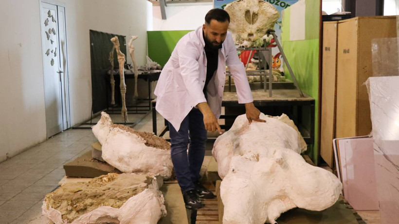 Kayseri'de Bulundu, Tam 7,7 Milyon Yıllık... Dünyada Ses Getirdi! Her Kazdıkları Yerden Bu Fosiller Çıkıyor - Resim : 1