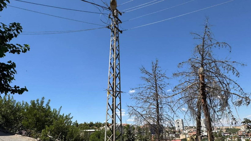 Diyarbakır'da Korkunç Olay! Yerde Yatan Keçiye Dokununca Öldü - Resim : 2