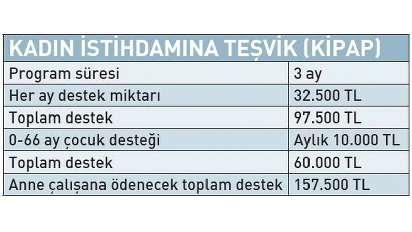 Çalışan Kadınlara 157 Bin TL Destek Geliyor: Detaylar Belli Oldu! Kimler Yararlanacak? - Resim : 2