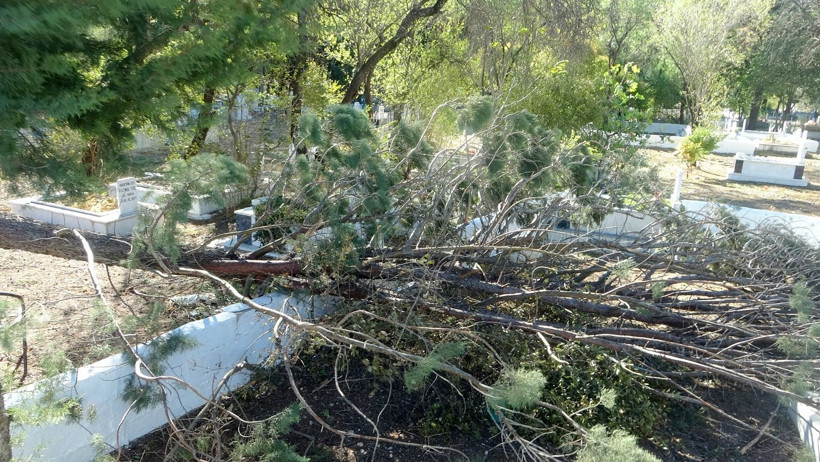 Muğla'da Fırtına: Minare Yıkıldı, Ağaçlar Devirdi - Resim : 1