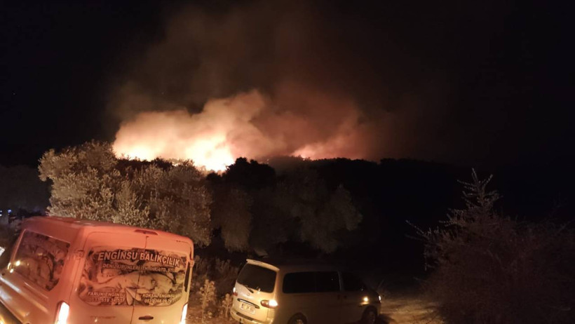 Antalya ve Muğla Kabusu Yaşıyor! Alevler Mahalleleri Sardı - Resim : 8