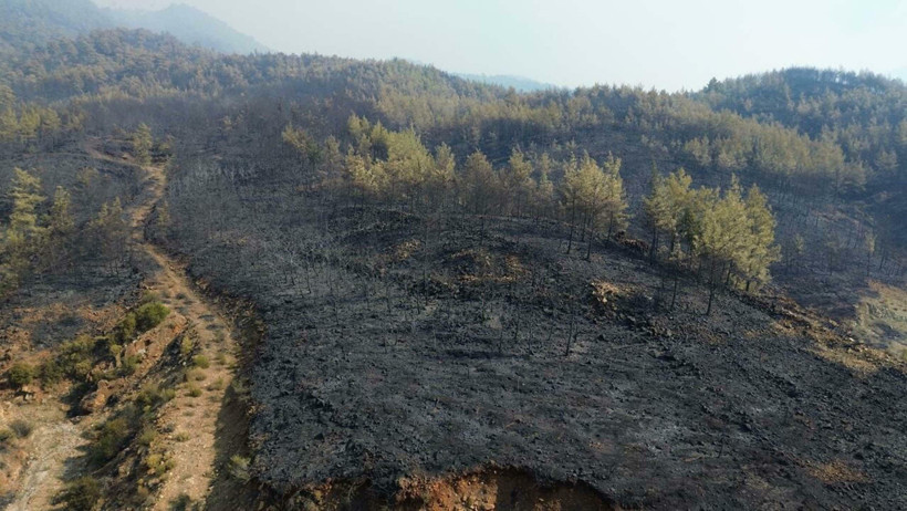 63 Saatlik Kabustan Geriye Kalan... Köyceğiz Artık Kömür Karası - Resim : 4
