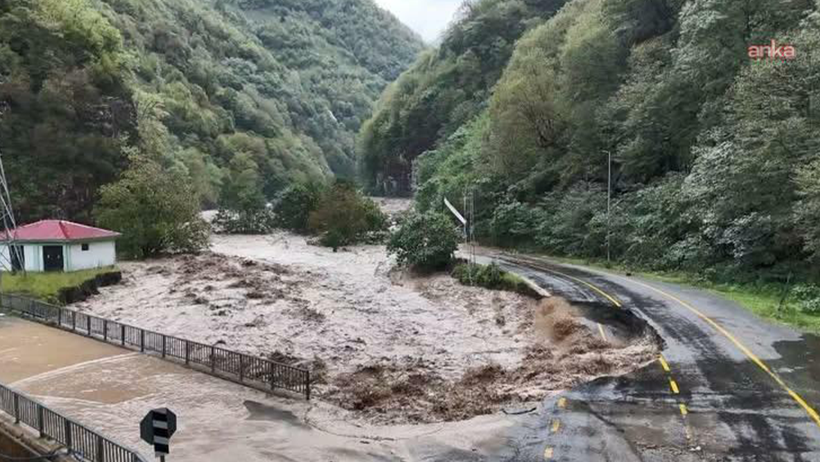 Rize'de Yürek Sızlatan Görüntü! Felaketten Kaçan Yavru Ayılar Tünele Sığındı - Resim : 1