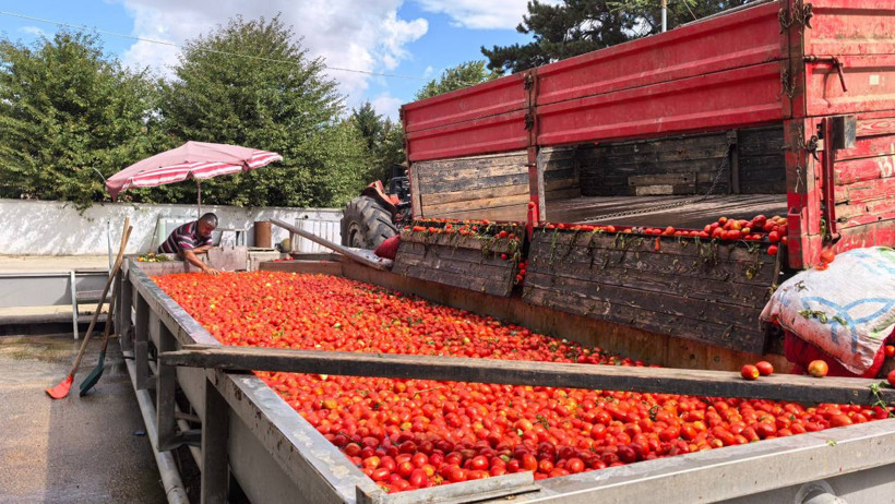 Kadınlar Üretiyor, Hollanda Kapış Kapış Alıyor! Bir Defa Yapılıyor, Bütün Kış Yetiyor - Resim : 4