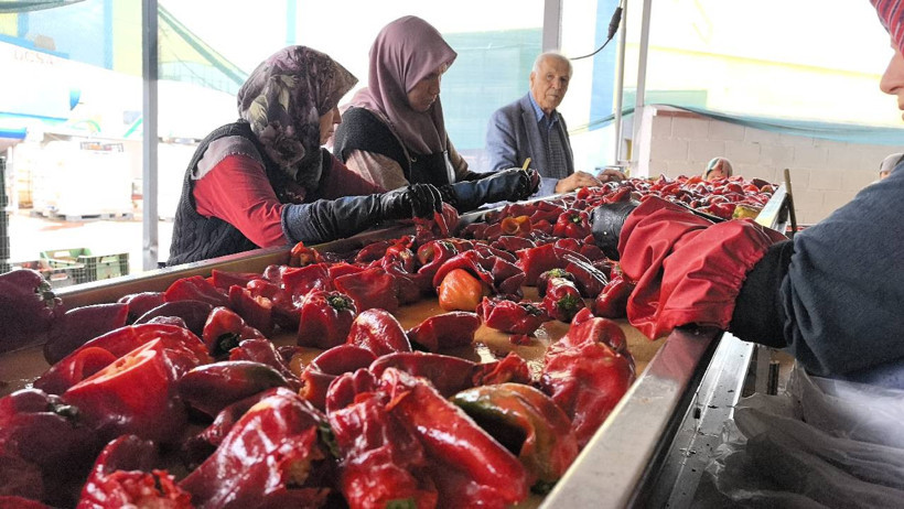 Kadınlar Üretiyor, Hollanda Kapış Kapış Alıyor! Bir Defa Yapılıyor, Bütün Kış Yetiyor - Resim : 1