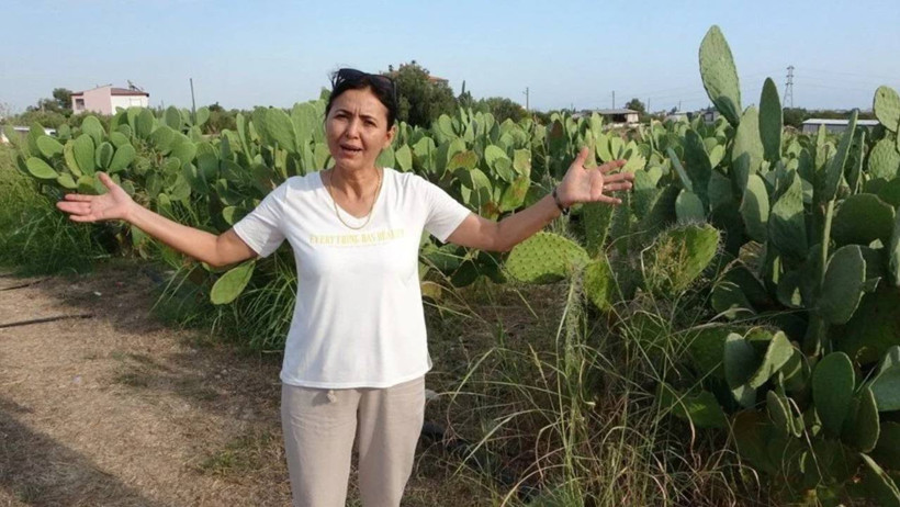 Bahçeyi Kurarken Alay Ettiler: O Türkiye'de Bir İlki Gerçekleşti! Şimdilerde 10 Ton Yurt Dışına Satıyor - Resim : 2