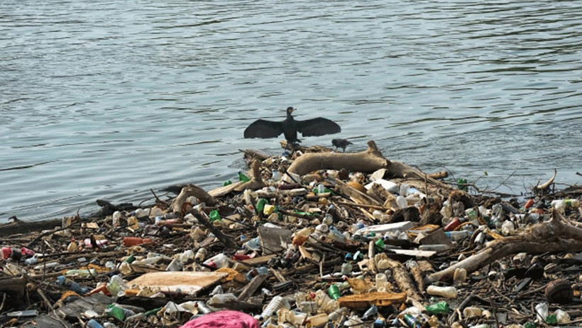 Gezegen Sağlık Karnesi Yayımlandı: Dünya 'Yoğun Bakım'da - Resim : 2