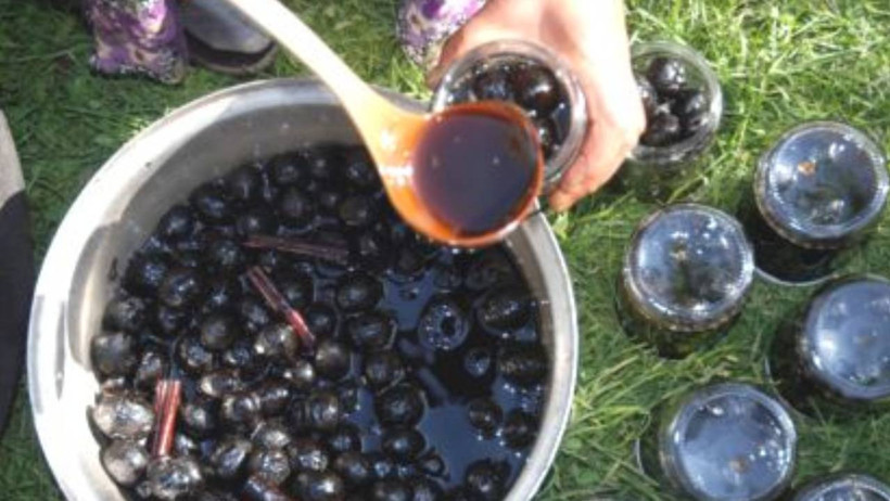 Bitlis’te Meşhur Oldu Tüm Dünyaya Yayıldı! Hasat Başladı, Kilosu 600 Liradan Satılıyor - Resim : 3