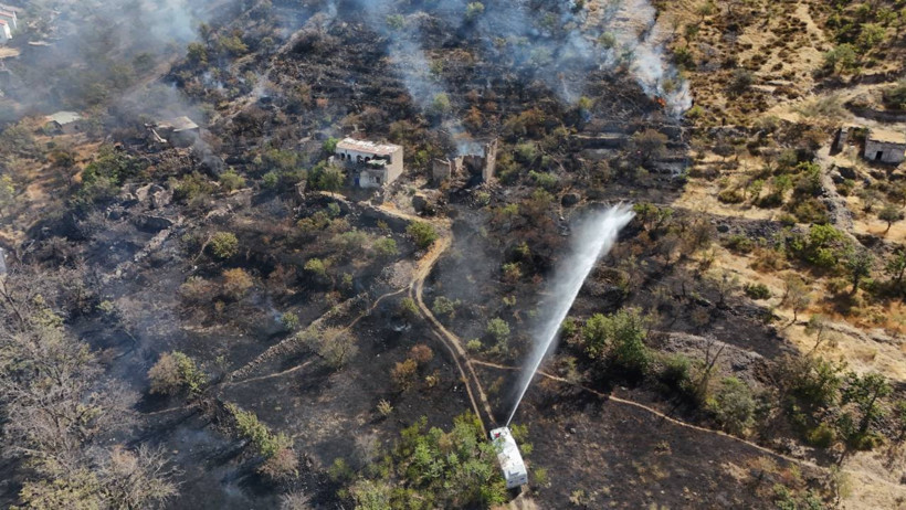 Patlıcan Közlerken Ormanı Yaktılar - Resim : 1