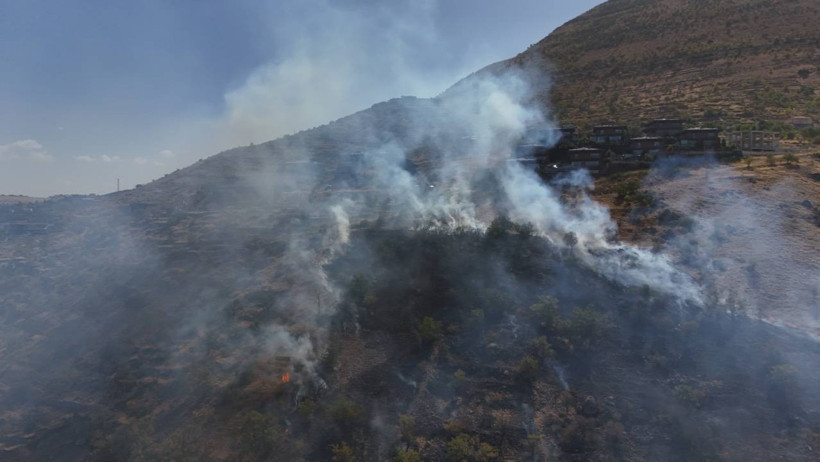 Patlıcan Közlerken Ormanı Yaktılar - Resim : 3