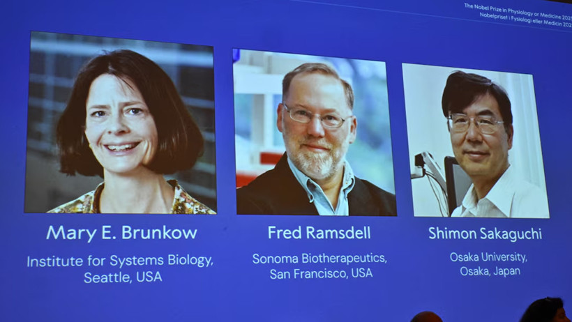 2025 Nobel Tıp Ödülü'nün Sahipleri Belli Oldu - Resim : 1