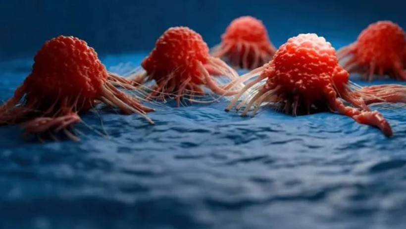 Kanser Riskini Yüzde 30 Azaltıyor! Tümör Hücrelerinin Yayılmasını Engelliyor - Resim : 1