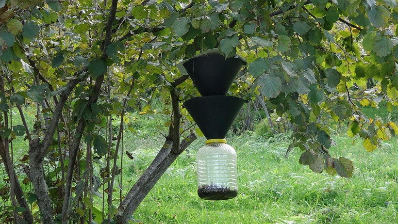 Trabzon Diken Üstünde! Halk Tedirgin, Evleri Kokarca Bastı, ‘Kıtlığa Az Kaldı’ - Resim : 3