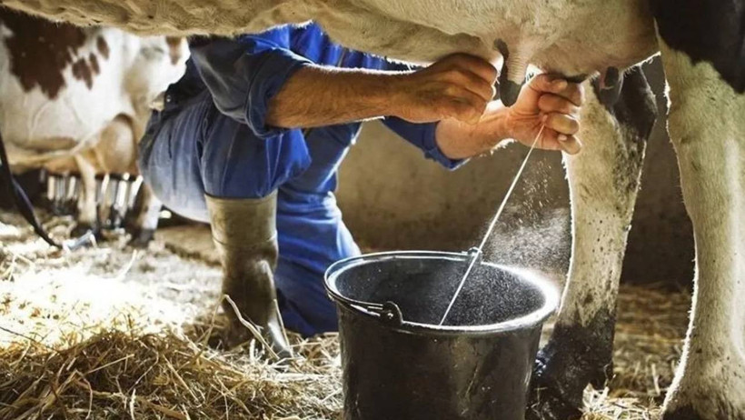 Süt Fiyatlarına Dev Zam Geliyor: Kesimler Rekor Kırdı! Market Rafları Alev Alacak - Resim : 2