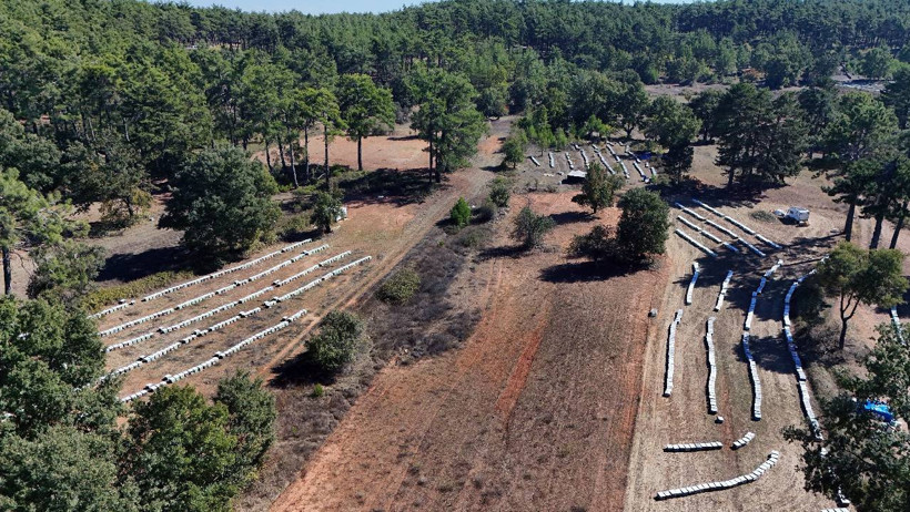 Üretimde Altın Yıl! Rekolte 20 Bin Tonu Zorluyor! Fiyatlar 5 Bin Lirayı Geçti - Resim : 1
