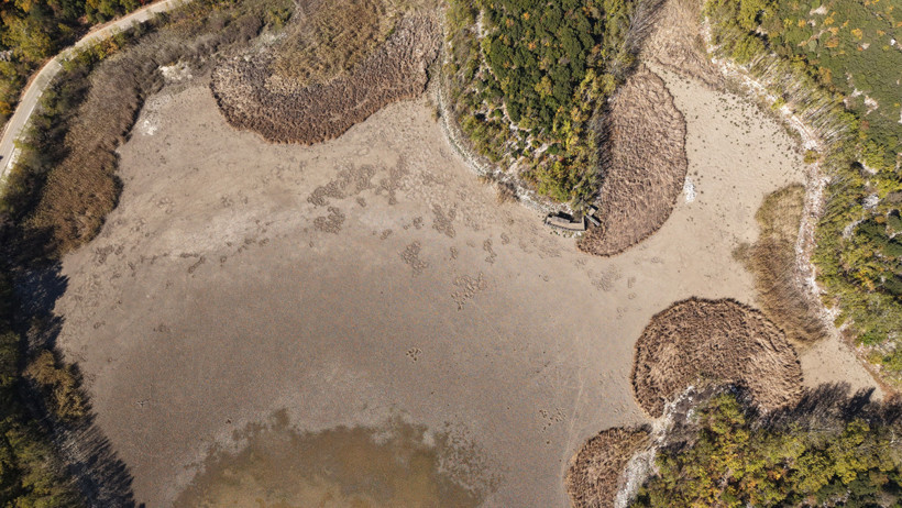 Anadolu Parsı Bile Yaşıyordu... Kovada Gölü Milli Parkı Ölmek Üzere, Durum Çok Vahim! - Resim : 4