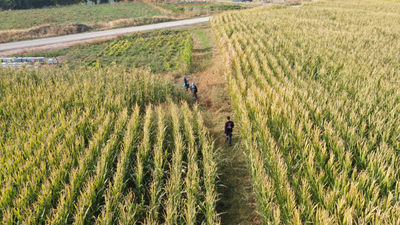 Elazığ'da Kaybolan Otizmli Veysel'den Hiçbir İz Yok! Arama Çalışmalarında Kritik Gün, Ekipler O Noktada Yoğunlaşacak - Resim : 1