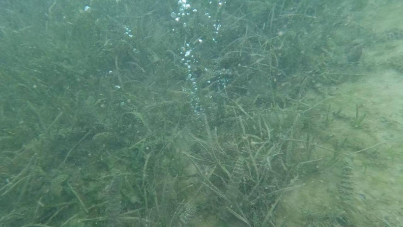 Şener Üşümezsoy 'Asıl Tehlike Burası' Diyerek Uyardı! Suyun Altı Kaynıyor! Deprem Riski Artıyor - Resim : 3