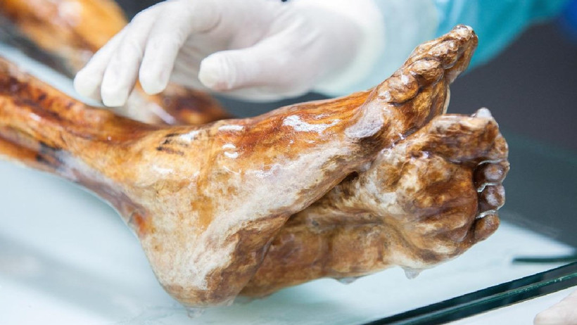 Bilim Dünyasını Şaşırtan Keşif! 5 Bin Yıllık Mumyadan Ekmek Yaptılar - Resim : 3
