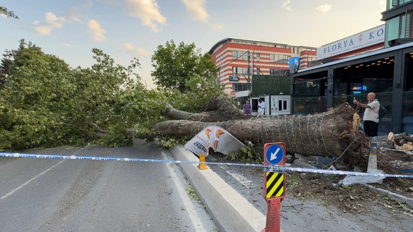 İstanbul'u Vuran Fırtına Hayatı Felç Etti: Çatılar Uçtu, Asırlık Ağaçlar Devrildi - Resim : 1