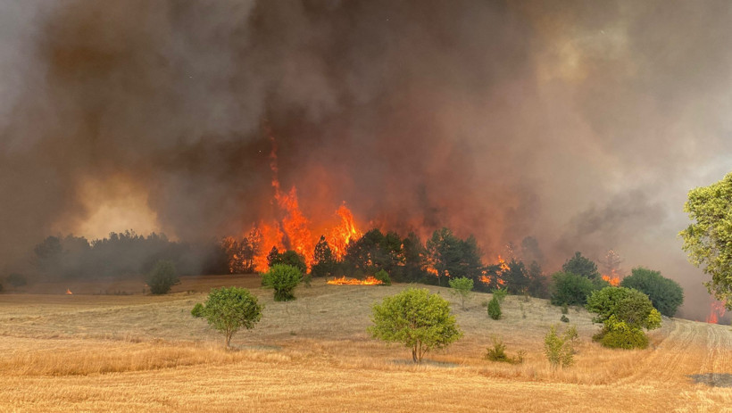 Kızıl Kabus 8 İli Sardı! Bakan Yumaklı Son Durumu Açıkladı! Sakarya'da Bir Yeni Yangın Daha - Resim : 2