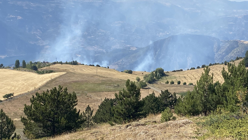 Art Arda Başlamıştı... Orman Yangınları Kontrol Altında - Resim : 1