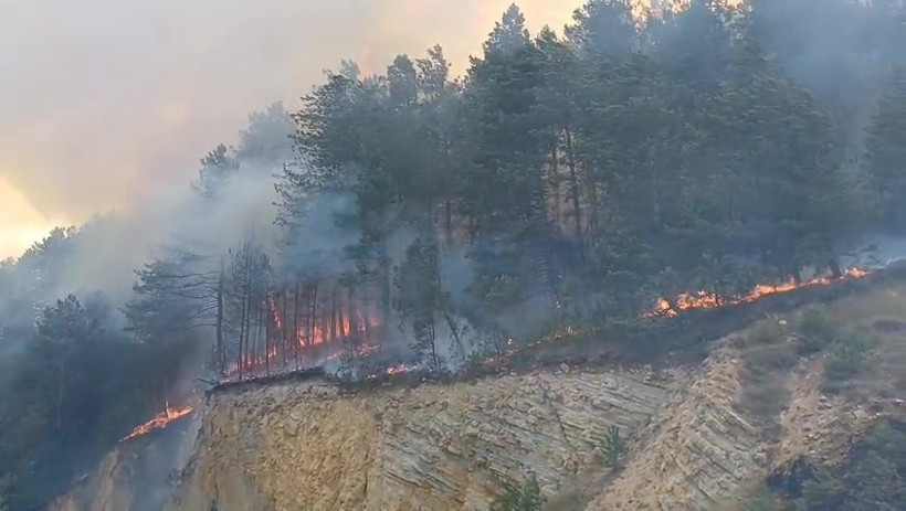 Bolu'da Orman Yangını - Resim : 2