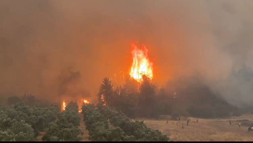Bakan Yerlikaya Duyurdu! Orman Yangınlarında 25 Tutuklama - Resim : 1