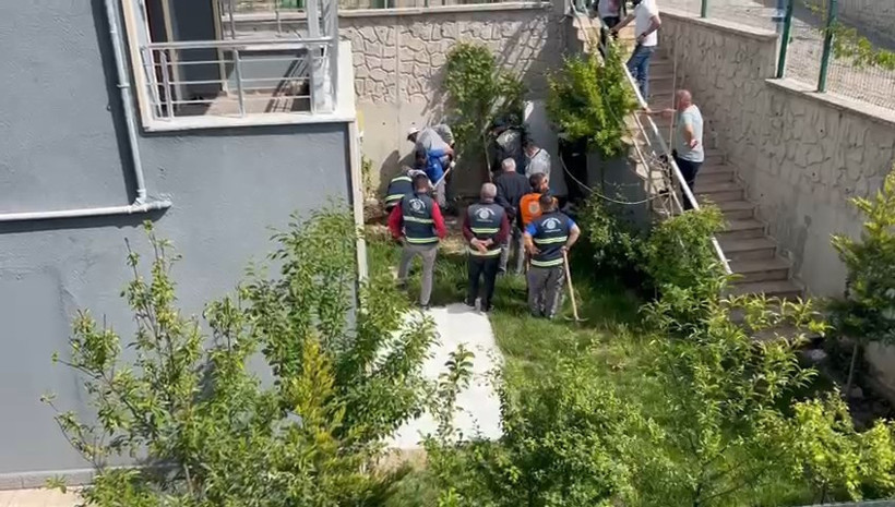 Okudukça İsyan Edeceksiniz! Sahiplendiği Köpekleri Öldüren Doktorun Savunması Çileden Çıkardı - Resim : 1