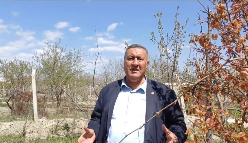 Zirai Don Felakete Dönüştü: 'Bu Yıl Bağ ve Bahçeden Ürün Alınması Mümkün Görünmüyor' - Resim : 1