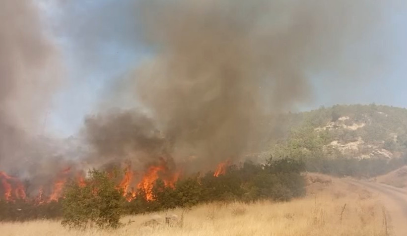 Şırnak'ta Korkutan Alevler! 6 Saatte Kontrol Altına Alındı - Resim : 1