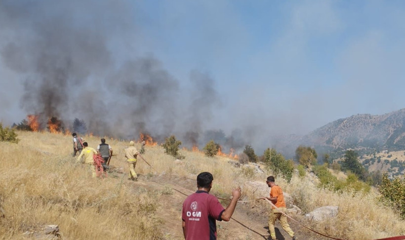 Kızıl Felaket Yine Dirildi! Muğla ve Adana'dan Sevindiren Haber Geldi - Resim : 3