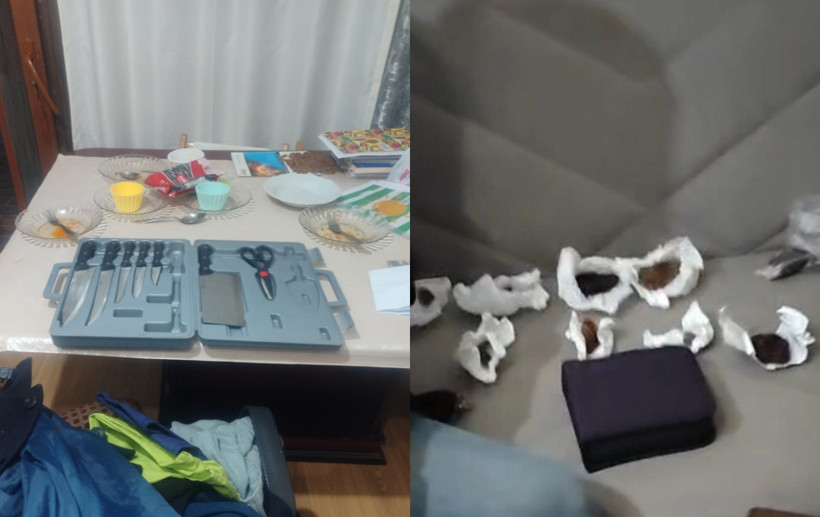 Okudukça İsyan Edeceksiniz! Sahiplendiği Köpekleri Öldüren Doktorun Savunması Çileden Çıkardı - Resim : 2