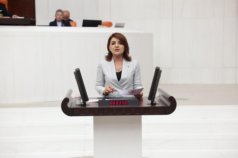 CHP Mersin Milletvekili Gülcan Kış’tan Akbelen Kavşağı Tepkisi: 'İhale Var, Firma Var, Yol Yok' - Resim : 1
